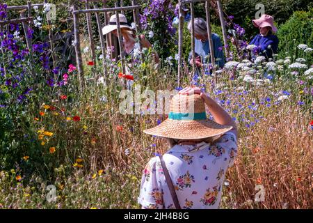 Barch Hill Garden im Juli East Sussex UK Stockfoto