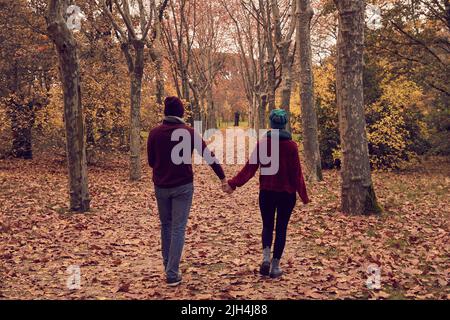 Das junge weiße kaukasische Paar geht rückwärts und hält die Hände auseinander, schlendert auf einem Boden aus heruntergefallenen braunen Blättern und einem Pfad aus Bäumen in einem Park in au Stockfoto