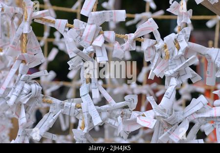 Der majestätische Hongwan-ji Tempel, Kyoto JP Stockfoto