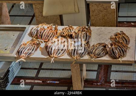 Echter Bonito, Bonito, gestreifter Bonito (Euthynnus pelamis, Katsuwonus pelamis, Gymnosarda pelamis), getrockneter echter Bonito auf dem Fischmarkt in Stockfoto