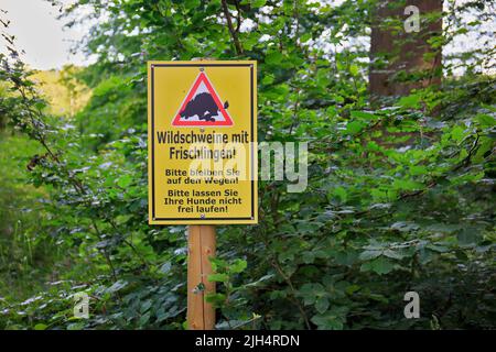 Wildschwein, Schwein, Wildschwein (Sus scrofa), Warnschild zur Vorsicht vor Wildschweinen mit Runen, Deutschland, Nordrhein-Westfalen, Sauerland Stockfoto