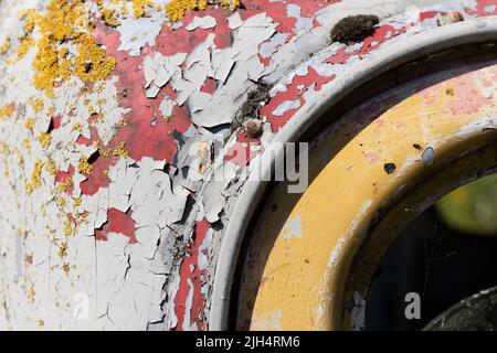 Verwitterte graue, rote und gelbe Farbe mit gelber Flechte auf einem alten LKW-Fahrerhaus aus Metall Stockfoto