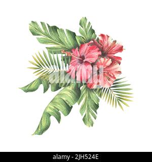 Rote Hibiskusblüten mit tropischen Palmenblättern aus Banane und Kokosnuss. Aquarelldarstellung. Zusammensetzung eines großen Sets von KUBA. Für das Design und Stockfoto
