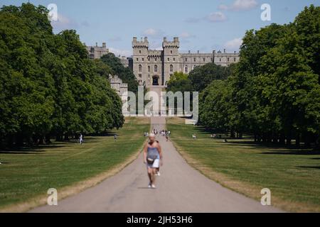 Menschen auf dem langen Spaziergang in Windsor, in der Grafschaft von Windsor. Bilddatum: Freitag, 15. Juli 2022. Stockfoto