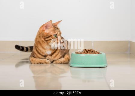 Zufriedene Bengalkatze neben einer Schüssel voller Trockenfutter. Stockfoto