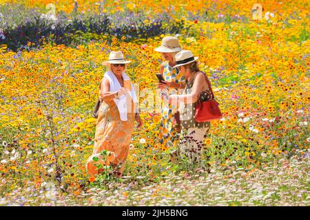 London, Großbritannien. 15.. Juli 2022. Die Menschen bewundern die bunten Blumen im Tower of London Superbloom. Der Graben des Londoner Wahrzeichen wurde mit 15 verschiedenen Samenmischungen gepflanzt, füllt ihn nun mit tausenden von wunderschönen Wildblumen und schafft mitten in der Hauptstadt ein lebendiges Kunstwerk aus biologischem Anbau. Touristen und Besucher können rund um den Graben und Turm wandern, um etwas Erleichterung von der aktuellen Hitzewelle zu finden. Kredit: Imageplotter/Alamy Live Nachrichten Stockfoto