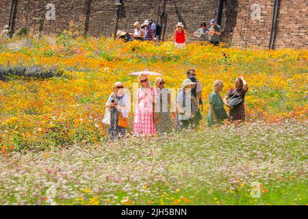 London, Großbritannien. 15.. Juli 2022. Die Menschen bewundern die bunten Blumen im Tower of London Superbloom. Der Graben des Londoner Wahrzeichen wurde mit 15 verschiedenen Samenmischungen gepflanzt, füllt ihn nun mit tausenden von wunderschönen Wildblumen und schafft mitten in der Hauptstadt ein lebendiges Kunstwerk aus biologischem Anbau. Touristen und Besucher können rund um den Graben und Turm wandern, um etwas Erleichterung von der aktuellen Hitzewelle zu finden. Kredit: Imageplotter/Alamy Live Nachrichten Stockfoto