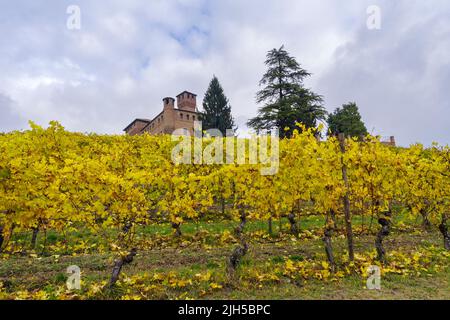 Schloss von Grinzane Cavour durch Weinberge in der Region Piemont, Norditalien gesehen Stockfoto