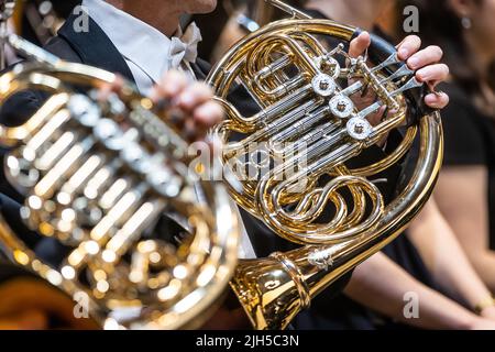 Philharmonisches Orchester spielt auf dem französischen Horn, Aufführungskonzert, klassisches Musikkonzept Stockfoto