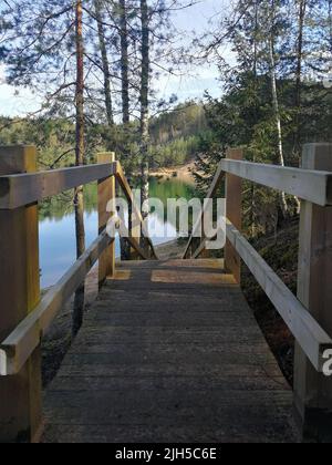 Holzsteg führt zum See. Idyllischer Fußweg zwischen Bäumen und Zielpunkt voraus. Stockfoto