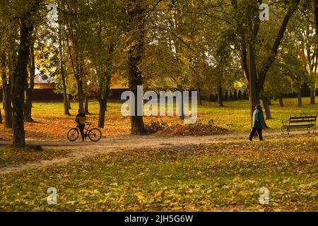 Volodymyr, Ukraine - 13.10.2022: Sonnenuntergang im Herbstpark. Herbstlandschaft. Bäume mit bunten Blättern auf dem Gras im Park. Sonneneinstrahlung früh Stockfoto