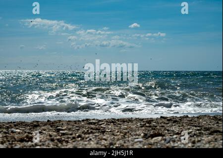 Seesturm und viele Vögel in Torrox Costa, Costa del Sol, kleiner touristischer Ort zwischen Malaga und Nerja, Andalusien, Spanien Stockfoto