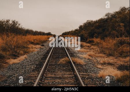 Vintage Railroad führt in die Ferne Stockfoto