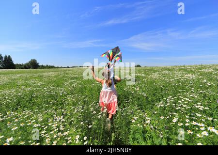 Zwei Kinder auf einem Kamillenfeld fliegen einen Drachen in den Himmel. Kinder spielen im Sommer gegen den blauen Himmel auf dem Feld Stockfoto