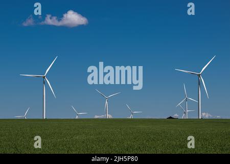 Windmühlen im pazifischen Nordwesten Stockfoto