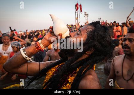 Naga Sadhu (indischer Heiliger Mann) bläst in eine Muschelschale und badet im heiligen Ganges-Fluss beim Kumbh Mela Festival in Allahabad (Prayagraj), Indien. Stockfoto