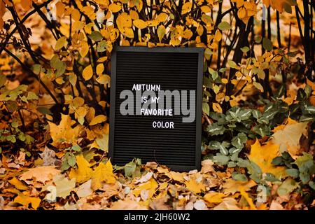 Brieftafel mit Text Herbst ist meine Lieblingsfarbe. Herbstmotivation Zitate Stockfoto