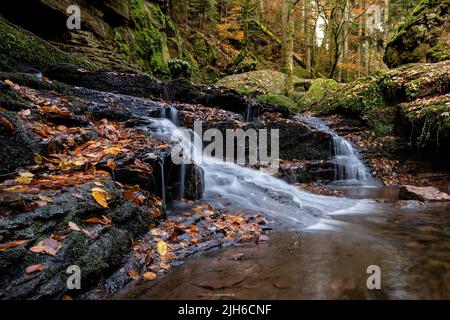 Mystischer Wasserfall im Monbachtaler Schwarzwald, Deutschland Stockfoto