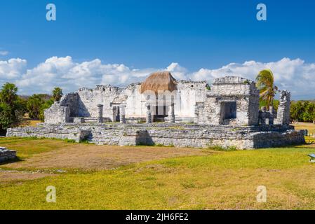 Großer Palast 25, Maya-Ruinen in Tulum, Riviera Maya, Yucatan, Karibisches Meer, Mexiko. Stockfoto