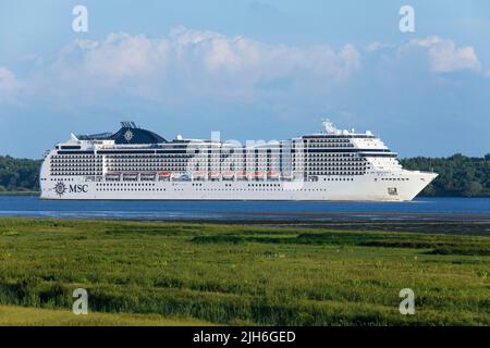 Das Schiff MSC Magnifica auf der Elbe bei Wedel, Schleswig-Holstein, Deutschland Stockfoto