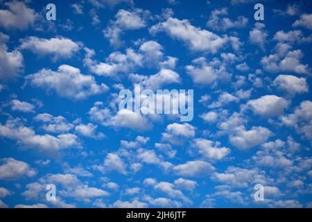 Cumulus-Wolken Stockfoto