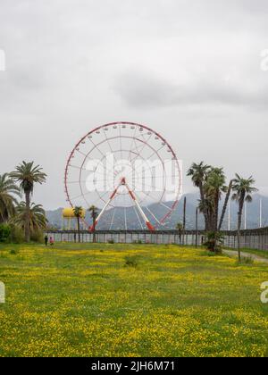 Riesenrad auf dem Hintergrund der gelben Blumen. Butterblumen im Freizeitpark im Frühjahr. Wunderschönes Hotel. Natur Stockfoto