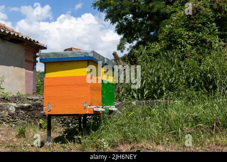 Zwei bunte Bienenstöcke aus Holz in einem Bienenhaus an einem sonnigen Sommertag. Bienenzuchtkonzept Stockfoto