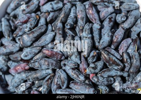 Frische blaue Geißblatt, auch als Honigbeere bekannt, ein Hintergrund von blauen Beeren mit grünen Blättern. Modische Tönung. Stockfoto