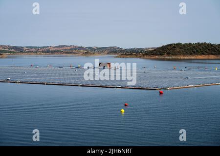 Gesamtansicht des schwimmenden Solarkraftwerks in Alqueva. Die am 15.. Juli eingeweihte Anlage ist bereit, mehr als 30 % der Bevölkerung der Regionen Moura und Portel im Süden Portugals mit Energie zu versorgen. Das 4 schwimmende Solarkraftwerk befindet sich am Alqueva-Staudamm und verfügt über eine installierte Leistung von 5 MW und eine Kapazität von rund 12.000 7,5 GWh pro Jahr.die Anlage ist die größte in Europa, an einem Stausee. Stockfoto