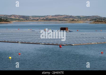 Gesamtansicht des schwimmenden Solarkraftwerks in Alqueva. Die am 15.. Juli eingeweihte Anlage ist bereit, mehr als 30 % der Bevölkerung der Regionen Moura und Portel im Süden Portugals mit Energie zu versorgen. Das 4 schwimmende Solarkraftwerk befindet sich am Alqueva-Staudamm und verfügt über eine installierte Leistung von 5 MW und eine Kapazität von rund 12.000 7,5 GWh pro Jahr.die Anlage ist die größte in Europa, an einem Stausee. Stockfoto