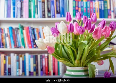 Frische weiße und rosafarbene Tulpen in einer Vase mit einem Bücherregal im Hintergrund. Nahaufnahme von schönen und bunten Haufen von blühenden Pflanzen in Stockfoto