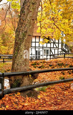 Lebendige Herbstorangen Baumblätter und kleine lokale Hütte oder Wohnhaus in einer abgelegenen Landschaft in Norwegen. Hölzer mit trockenem, strukturfarbenem Laub Stockfoto