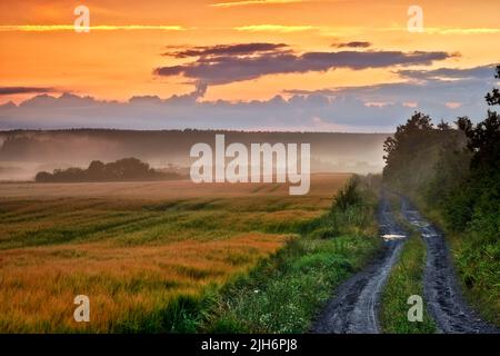 Feldweg auf dem Land, der zu landwirtschaftlichen Feldern oder Weiden in einem abgelegenen Gebiet führt, bei Sonnenaufgang oder Sonnenuntergang mit Nebel oder Nebel. Landschaftsansicht von Stockfoto
