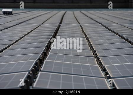 Blick auf die Photovoltaikanlagen im schwimmenden Solarkraftwerk in Alqueva. Die am 15.. Juli eingeweihte Anlage ist bereit, mehr als 30 % der Bevölkerung der Regionen Moura und Portel im Süden Portugals mit Energie zu versorgen. Das 4 schwimmende Solarkraftwerk befindet sich am Alqueva-Staudamm und verfügt über eine installierte Leistung von 5 MW und eine Kapazität von rund 12.000 7,5 GWh pro Jahr.die Anlage ist die größte in Europa, an einem Stausee. (Foto von Hugo Amaral/SOPA Images/Sipa USA) Stockfoto