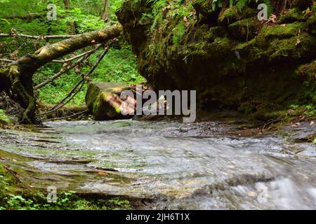 Parfrey's Glen Wasserfall in der Nähe von Devil's Lake State Park, Wisconsin, USA. Stockfoto