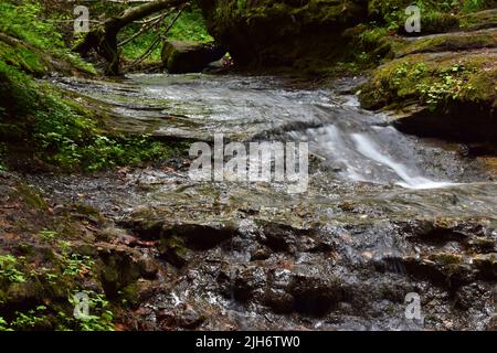 Parfrey's Glen Wasserfall in der Nähe von Devil's Lake State Park, Wisconsin, USA. Stockfoto