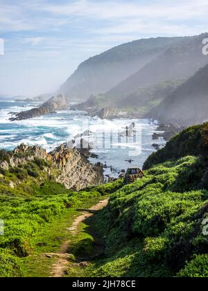 Ein Pfad, der hinunter zur felsigen Küste zwischen den Tsitsikamma Mountains an der Südküste Südafrikas führt. Stockfoto