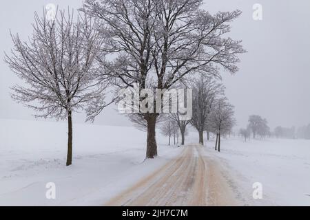 Staubige Straße mit Neuschnee Stockfoto