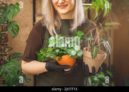 Beschnittenes Porträt einer Gärtnerin im mittleren Alter mit Schürze und Brille, die Zimmerpflanzen hält. Pflanzen lieben und sich um sie kümmern Stockfoto