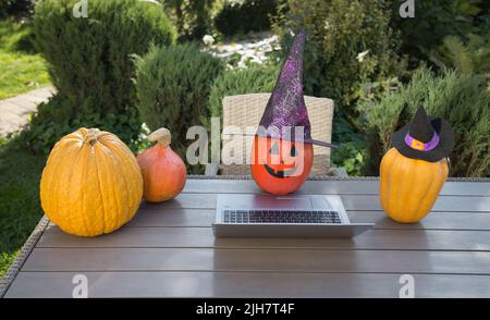 Oranger halloween-Kürbis in einem Hexenhut arbeitet an einem Laptop an einem Tisch in einem Garten, der von anderen Kürbissen umgeben ist. Halloween Urlaub Business Conce Stockfoto
