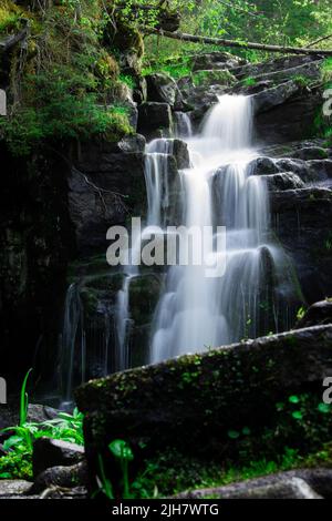 Vertikale Langzeitaufnahme eines Wasserfalls in einem Wald. Stockfoto