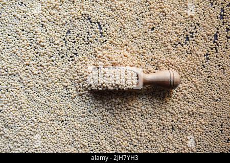 Rohe, vollständig getrocknete weiße Urad-Linse Stockfoto