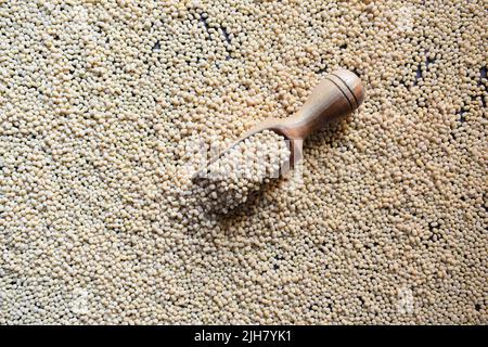 Rohe, vollständig getrocknete weiße Urad-Linse Stockfoto