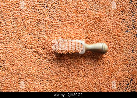 Rohe, ganze getrocknete rote Masoor-Linsen Stockfoto