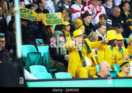 Sydney, Australien. 16.. Juli 2022. 16.. Juli 2022, Sydney Cricket Ground, Sydney Australien: Internationales Rugby-Testspiel Australien gegen England 3. Test: Australische Fans jubeln ihrem Land zu Kredit: Action Plus Sports Images/Alamy Live News Stockfoto