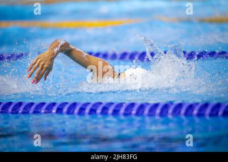 Artikeldetails mit einer professionellen Sportlerin, die in einem olympischen Schwimmbad schwimmend ist. Stockfoto