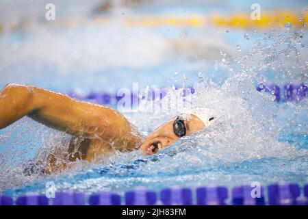 Artikeldetails mit einer professionellen Sportlerin, die in einem olympischen Schwimmbad schwimmend ist. Stockfoto