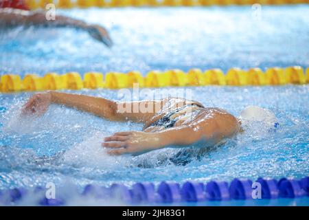 Artikeldetails mit einer professionellen Sportlerin, die in einem olympischen Schwimmbad schwimmend ist. Stockfoto