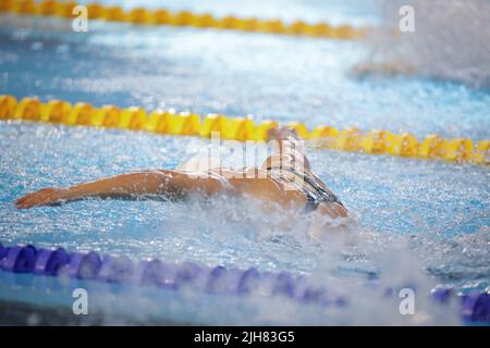 Artikeldetails mit einer professionellen Sportlerin, die in einem olympischen Schwimmbad schwimmend ist. Stockfoto