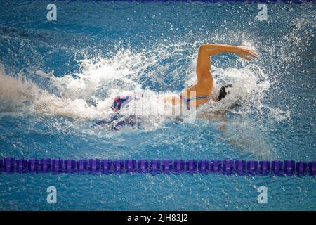 Artikeldetails mit einer professionellen Sportlerin, die in einem olympischen Schwimmbad schwimmend ist. Stockfoto